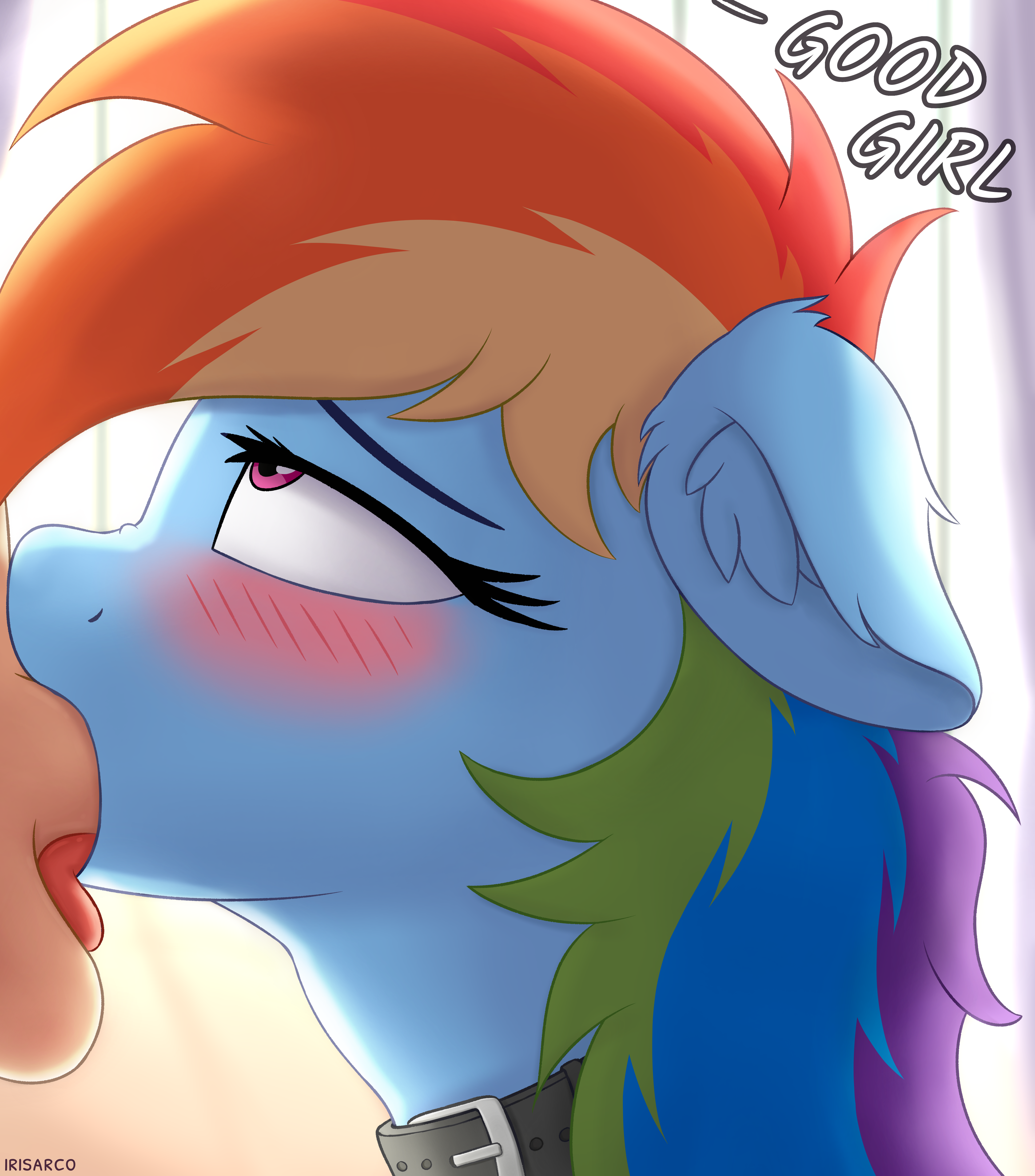2021, absurd res, all the way to the base, balls, blowjob, blush, choker, collar, cute, deepthroat, deepthroat holder, deepthroat no hands, dialogue, equid, eye contact, fellatio, fellatio from feral, female, feral, friendship is magic, genitals, hasbro, hi res, human, human on feral, human penetrating, interspecies, irisarco, male, male human/female feral, male on feral, male/female, mammal, my little pony, oral, oral penetration, penetration, penile, penis, penis in mouth, praise kink, rainbow dash (mlp), sex, testicles, throat bulge, tongue, tongue out, tongue out blowjob, zoophilia