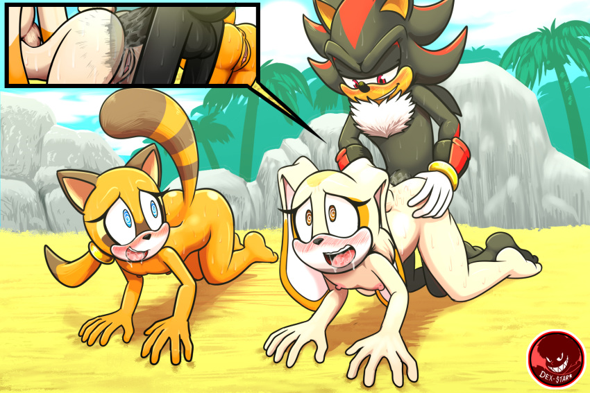 1boy, 2021, 2girls, 5 fingers, all fours, anal, anal addiction, anal insertion, anal orgasm, anal penetration, anal sex, animal ears, anthro, anthro female, anthro male, anthro on anthro, anthro only, anthro penetrated, anthro penetrating, anthro penetrating anthro, anus, ass, ass grab, backsack, balls, ballsack, barefoot, being watched, big balls, big penis, black balls, black body, black fur, black nose, black penis, blue eyes, blush, bodily fluids, bracelet, breasts, brown body, brown eyes, brown fur, brown nose, bunny, bunny girl, butt grab, chest tuft, clitoris, cream the rabbit, cub, cutaway, dexstar, dipstick ears, dipstick tail, doggy style, drooling, erection, eulipotyphlan, eyelashes, female, female cub, female focus, female orgasm, female penetrated, fingers, flat chest, floppy ears, from behind position, front view, fur, furry, furry female, furry male, furry only, genitals, girly, gloves, grin, group, half-closed eyes, hand on ass, hand on butt, handwear, hedgehog, hi res, hypnosis, interspecies, jewelry, lagomorph, larger male, larger penetrating, larger penetrating smaller, leporid, long ears, looking at another, looking pleasured, male, male penetrating, male penetrating female, male/female, mammal, marine the raccoon, mind control, mobian (species), multicolored ears, multicolored tail, multiple angles, narrowed eyes, nipples, nude, older male, older male and younger female, older penetrating, older penetrating younger, open mouth, orange body, orange fur, orgasm, orgasm face, outside, palm tree, penetration, penile, penile penetration, penis, penis in ass, pink nipples, pink pussy, plant, pleasured, procyonid, pussy, rabbit, rabbit girl, raccoon, raccoon girl, raised tail, rear view, red body, red eyes, red fur, saliva, sega, sex, shadow the hedgehog, size difference, small breasts, smaller female, smaller penetrated, smile, sonic (series), sonic team, sonic the hedgehog (series), spiral eyes, striped tail, stripes, tan body, tan fur, teeth, tree, trio, tuft, url, video games, voyeur, white clothing, white gloves, white inner ear, young, young anthro, young female, younger female, younger penetrated