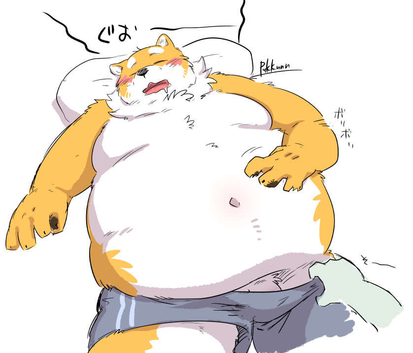 2021 anthro belly blush canid canine canis closed_eyes clothing domestic_dog fur genitals kemono male mammal navel obese obese_male overweight overweight_male penis pukkunnnn sleeping solo_focus underwear undressing white_body white_fur