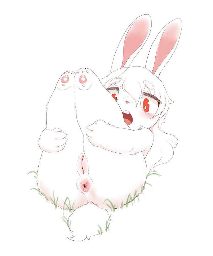 1girls 2020s 2021 2021s 20s 3_toes 4_fingers animal_ears anthro anthro_female anthro_focus anthro_only anthrofied anus ass big_ass big_ass_(female) big_butt big_eyes blush bubble_ass bubble_butt buckteeth bunny bunny_girl butt completely_naked completely_naked_female completely_nude completely_nude_female dat_ass digital_drawing_(artwork) digital_media_(artwork) dumptruck_ass dumptruck_butt eyebrow_through_hair eyebrows eyebrows_visible_through_hair eyelashes fat_ass fat_butt feet female female_anthro female_focus female_only fingers fluffy_tail fur furry furry_only genitals hair hair_between_eyes hi_res holding_legs huge_ass huge_butt humanoid_genitalia humanoid_hands humanoid_pussy humanoid_vagina lagomorph legs_up leporid long_ears long_hair looking_at_viewer lying mammal naked naked_female nude nude_female on_back open_mouth original_character pawpads paws peach_pussy pink_anus pink_nose pink_pawpads pink_pussy plump_ass presenting presenting_anus presenting_ass presenting_butt presenting_genitalia presenting_hindquarters presenting_pussy presenting_vagina pussy rabbit rabbit_girl red_eyes round_ass round_butt sake_kemosalmon solo solo_anthro solo_female solo_focus tail teeth thick thick_thighs toes translucent translucent_hair twitter vagina vulva white_fur white_hair wide_hips