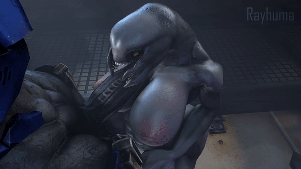 1boy, 1girls, 3d, abs, alien, alien girl, animated, animated gif, ass, big ass, big breasts, big penis, breasts, fellatio, female, female sangheili, halo (game), halo (series), large ass, large breasts, large penis, male, male/female, naked, nipples, nude, on knees, oral, oral sex, penis, penis in mouth, rayhuma, sangheili, sfm, sharp teeth, source filmmaker, straight, teeth, thick, thick penis, thick thighs, watermark, wide hips, yellow eyes