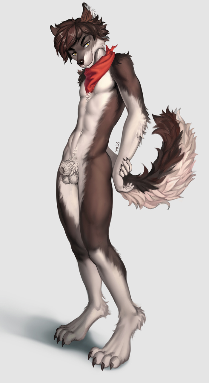 animal_genitalia anthro ball canid canine canis fully_sheathed genitals hi_res knot male mammal paws penis pose sheath solo variri wolf