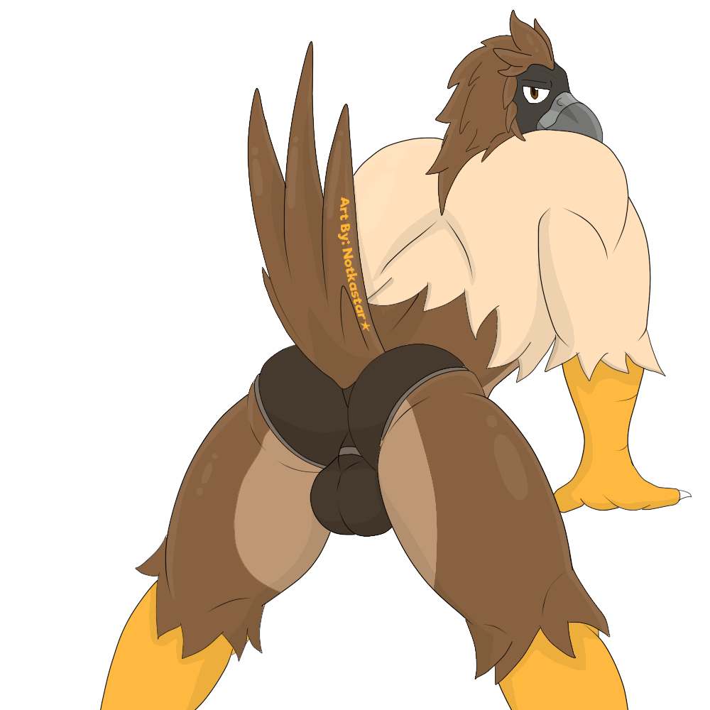 accipitrid accipitriform anthro avian beak bird briefs brown_eyes claws clothing eagle feathers male male/male notkastar philippine_eagle pirate_eagle sex solo underwear