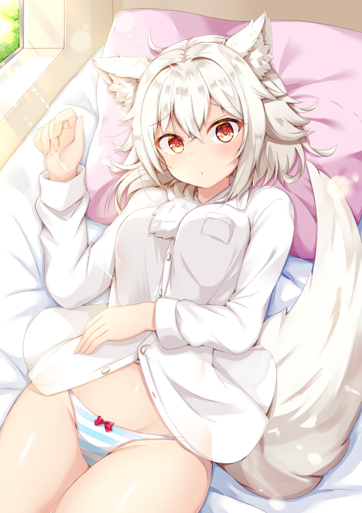 1girls, animal ears, big breasts, blush, bow panties, breasts, dress shirt, female, female only, lulu akituki, lying, momiji inubashiri, no pants, on back, panties, red eyes, striped panties, tail, touhou, white hair, wolf ears, wolf girl, wolf tail