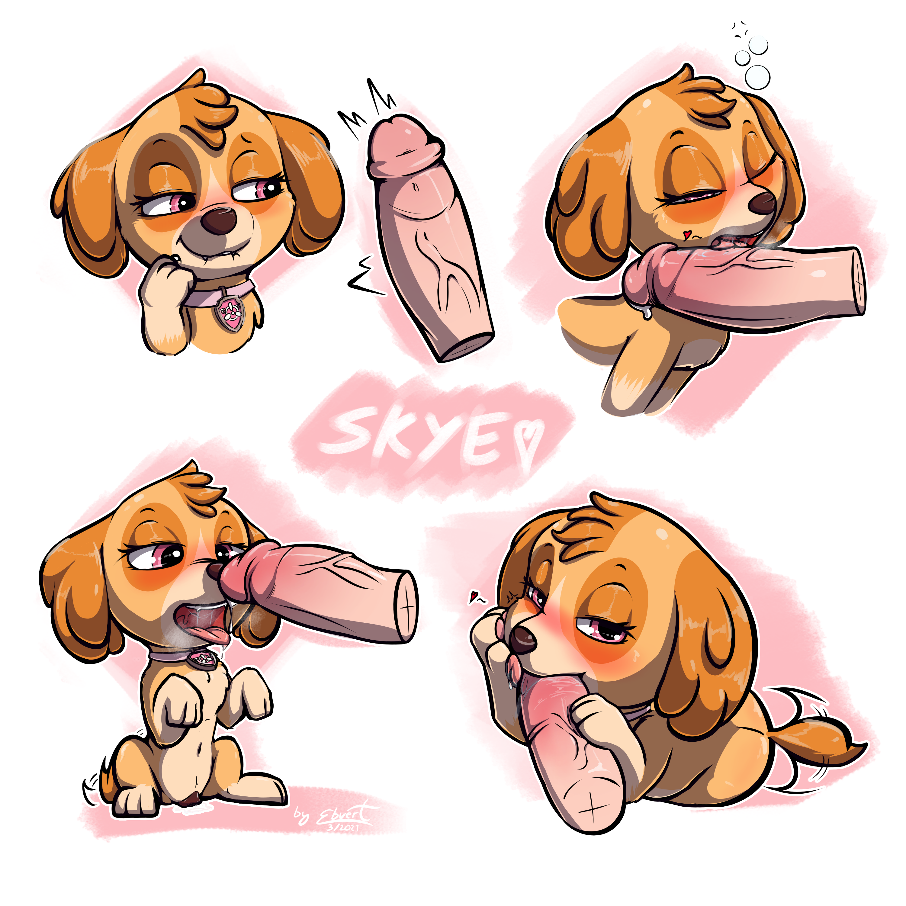 Paw patrol skye rule 34