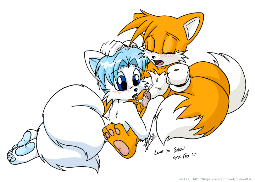 2002 fox_lee fur furry_tail male_only multiple_tails sonic_(series) tagme tail tails