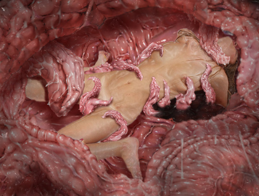 eaten then fucked, female, flesh wall, inside creature, interspecies, monster, monster on female, tagme, tentacle, tentacle pit, this is your life now, vore