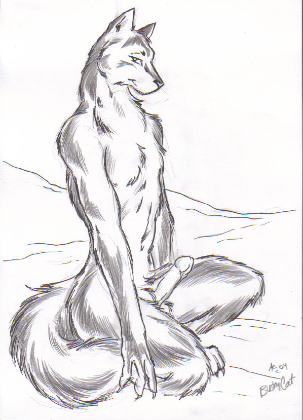 1boy 2004 anthro balls black_and_white bushycat canid canine claws erect_penis erection furry lupine male male_focus male_only pencil_(artwork) penis sketch solo solo_focus solo_male tail testicles traditional_art traditional_media traditional_media_(artwork) wolf