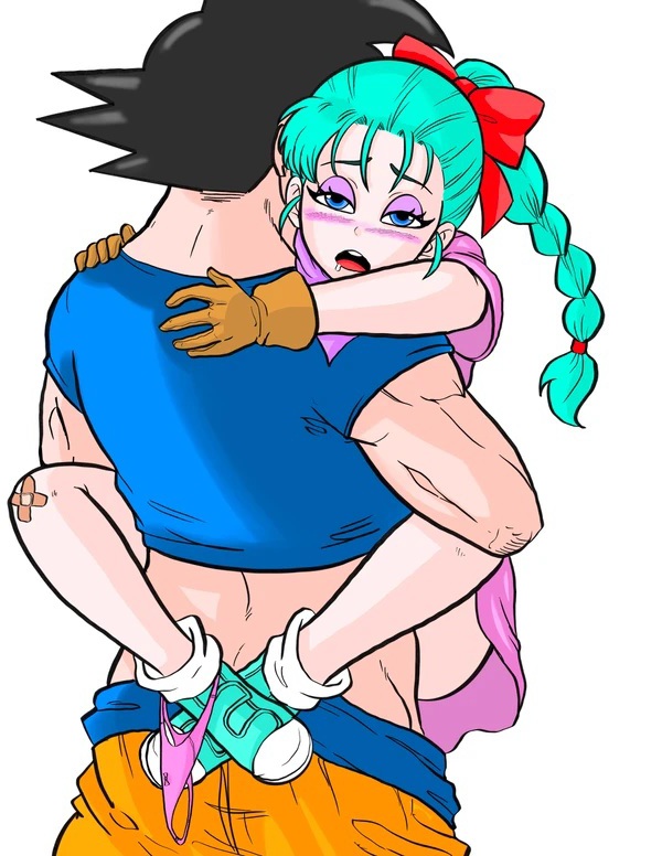 artist request, bulma briefs, dragon ball, dragon ball (classic), dragon ball z, female, goku, male, male/female, no eyewear, pants down, saiyan, sex, son goku, time paradox, time travel, unknown artist