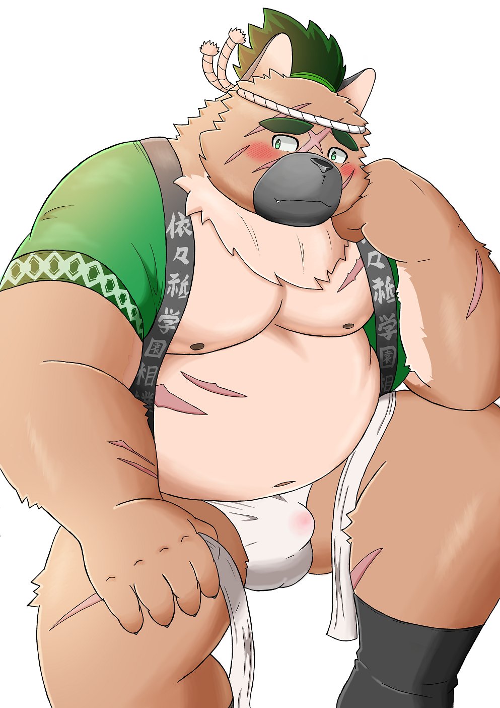 2021 anthro asian_clothing balls_outline belly blush bulge canid canine canis clothing domestic_dog east_asian_clothing fundoshi genital_outline happi_(clothing) hi_res humanoid_hands inunodaidokoro japanese_clothing kemono male mammal moobs nipples overweight overweight_male penis_outline scar sitting solo tokyo_afterschool_summoners underwear video_games yasuyori