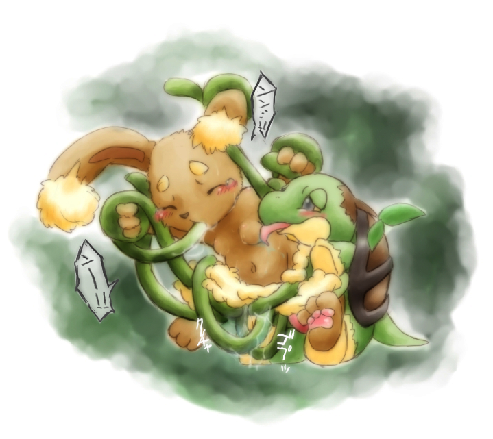 buneary interspecies motoichi nintendo pokemon turtwig