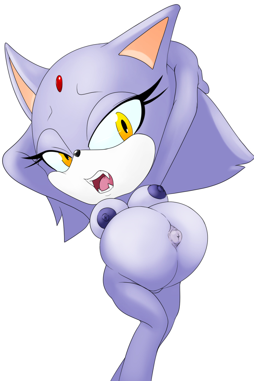 2:3 anthro blaze_the_cat breasts domestic_cat felid feline felis female hi_res looking_at_viewer mammal nipples nude pregnant raccoonshinobi simple_background solo sonic_(series) sonic_the_hedgehog_(series) white_background