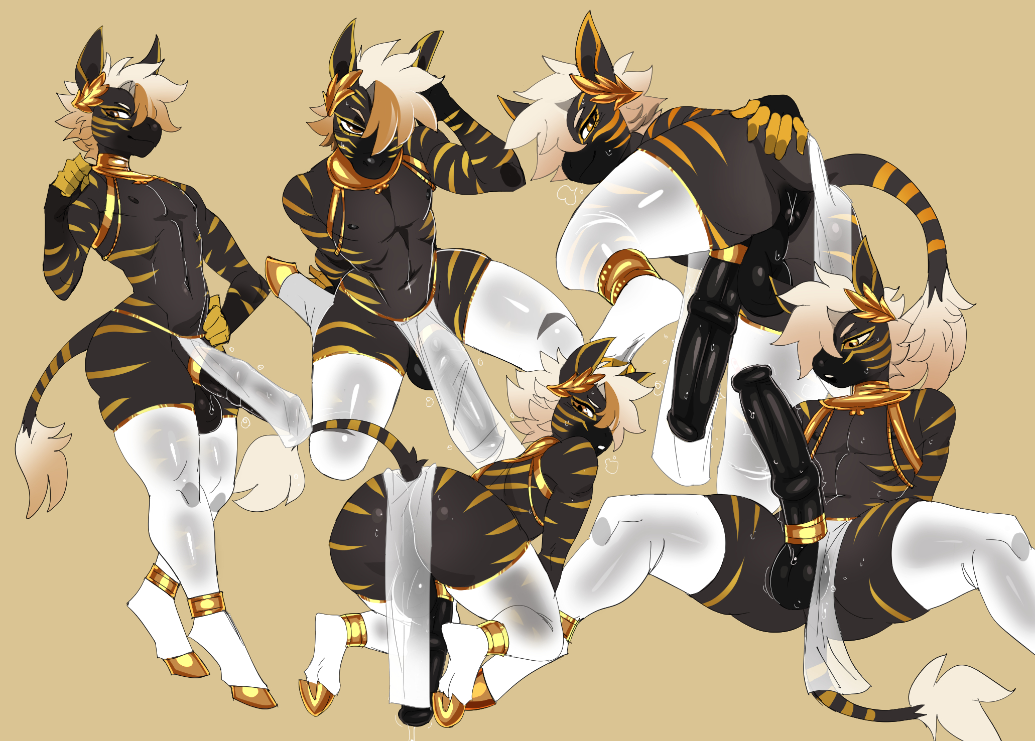 1boy, anthro, anthro only, anus, balls, big balls, big penis, cock ring, crossdressing, donut anus, equine, equine genitalia, equine penis, femboy, femboy focus, femboy only, feminine, feminine body, feminine male, furry, gay, girly boy, gold jewelry, groatydeer, horse tail, horsecock, horsecock on humanoid, hung femboy, kippy, male, male focus, male only, penis, penis accessory, presenting, presenting anus, presenting ass, presenting butt, presenting hindquarters, presenting penis, puffy anus, revealing clothes, revealing clothing, solo, solo focus, solo male, tail, thigh highs, thighhighs, twink, zebra