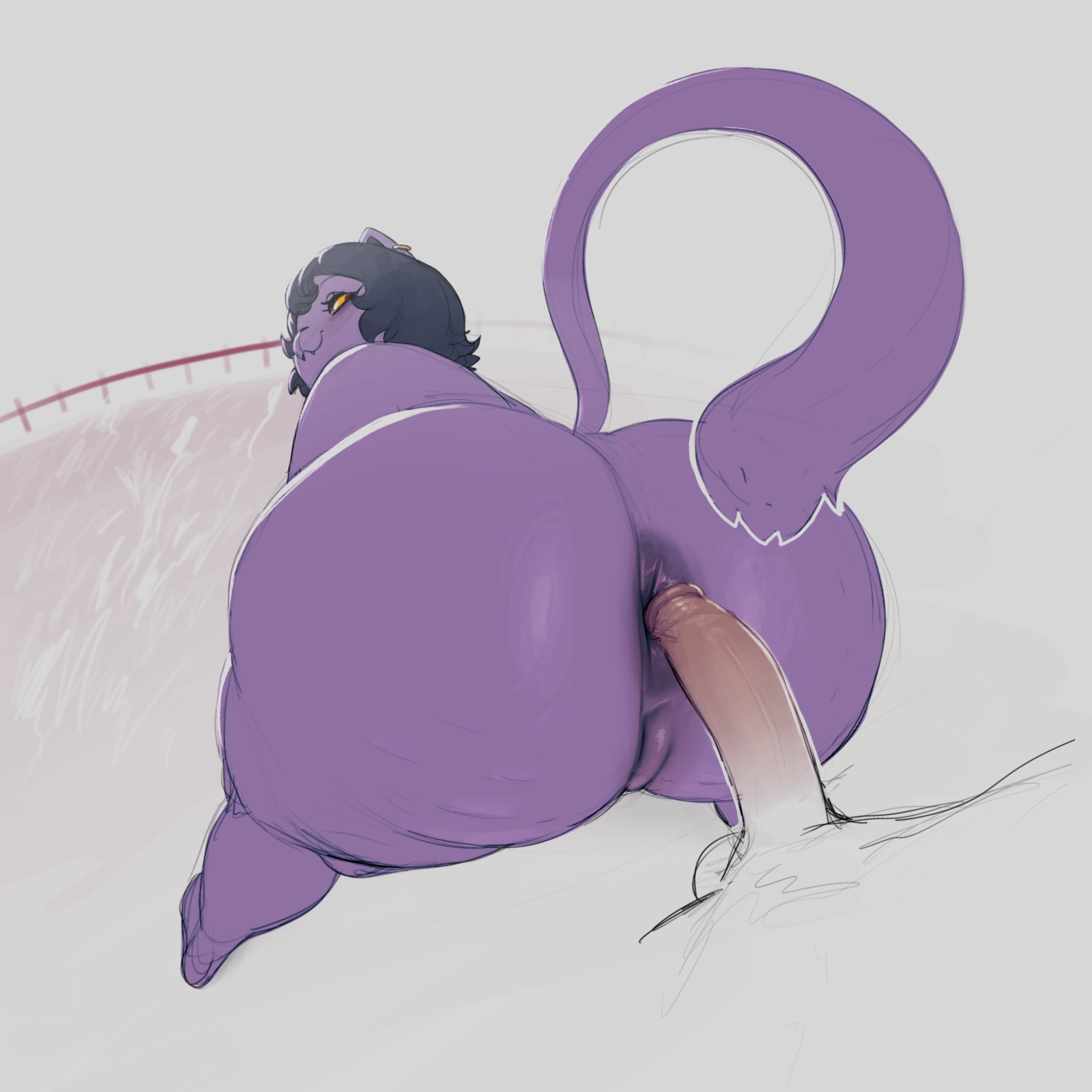1boy, 1girls, 2026, 2d, anthro, anus, ass, black hair, cat tail, catty (undertale), cock, dick, feline, female, furry, furry female, hair, imminent anal, imminent penetration, imminent sex, male, okgaki, penis, purple body, pussy, straight, tail, undertale, undertale (series), unseen male face, vagina