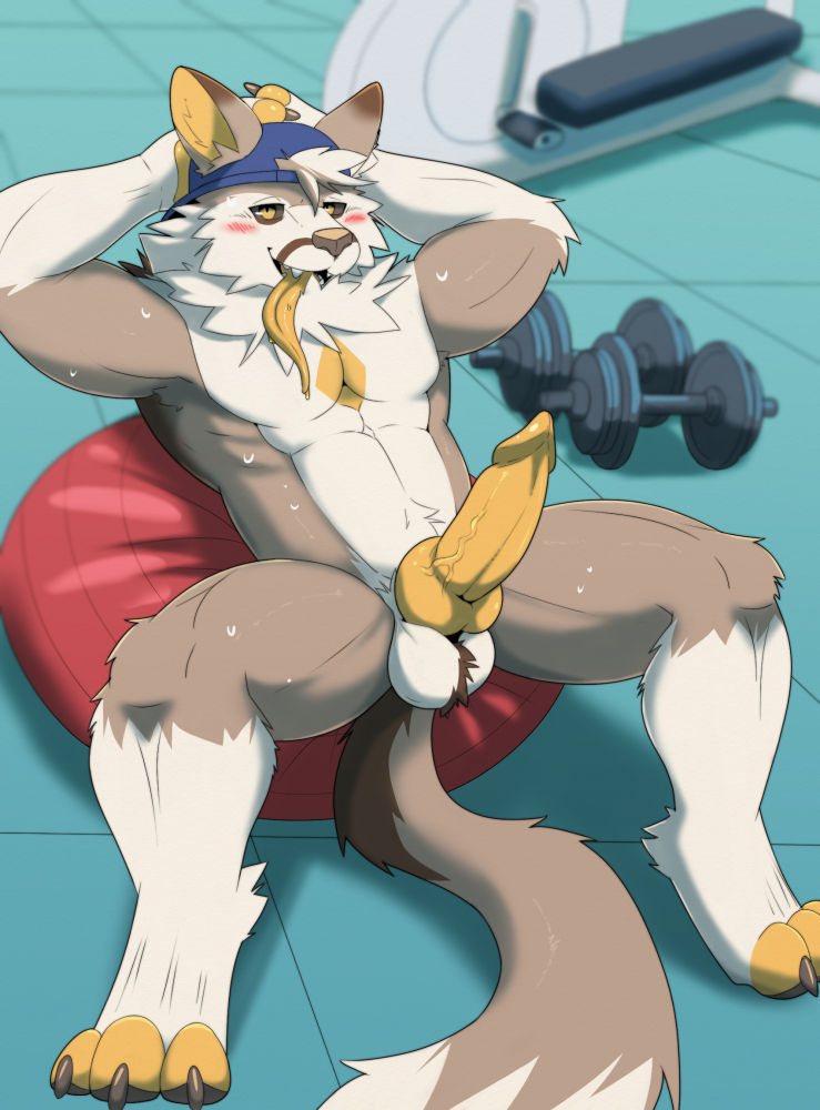 anthro balls barazoku blush breasts canid canine coffeecat4321 digital_media_(artwork) erection fur genitals gym hair kemono looking_at_viewer male mammal muscular muscular_anthro muscular_male nude paws penis smile solo tongue tongue_out