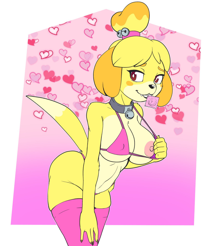 5 fingers, accessory, animal crossing, anthro, bell, bell collar, big breasts, bra, breasts, canid, canine, canis, clothing, collar, condom, condom in mouth, domestic dog, fangs, female, fingers, fours (artist), fur, hair accessory, hairband, heart, hi res, isabelle (animal crossing), legwear, mammal, nintendo, nipple outline, nipple slip, nipples, panties, pink bra, pink clothing, pink panties, pink stockings, pink underwear, sexual barrier device, shih tzu, solo, stockings, toy dog, under boob, underwear, video games, yellow body, yellow fur