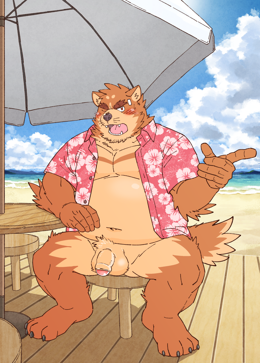 anthro balls beach belly blush brown_body brown_fur canid canine clothed clothing detailed_background edit fur genitals hi_res humanoid_genitalia humanoid_hands humanoid_penis kemono male male_only mammal moobs navel open_clothing open_shirt open_topwear outside overweight overweight_anthro overweight_male penis ryuta-h seaside shirt sitting solo topwear uncensored water