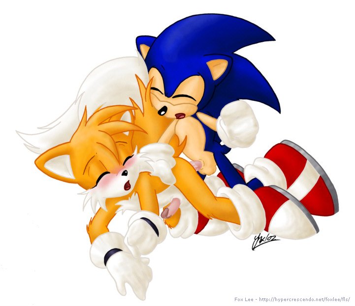 2002 anthro canine closed_eyes fox fox_lee fur furry hedgehog interspecies male male_only mammal multiple_males nude penis sex sonic_(series) sonic_the_hedgehog tagme tails yaoi