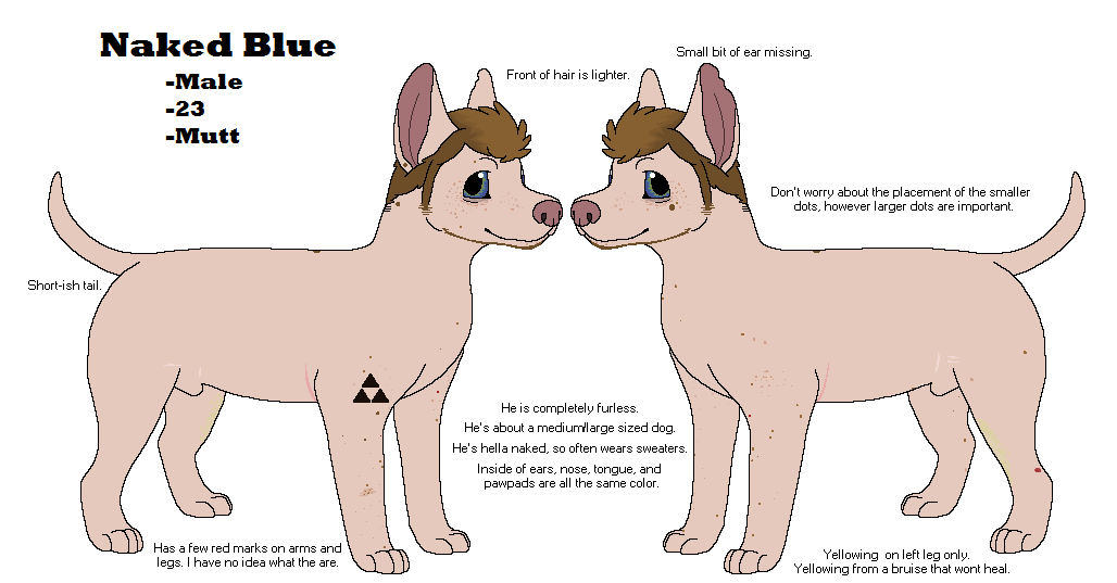 2015 aliasing animal_genitalia arm_tattoo black_text blue_eyes bluekyokitty brown_hair canid canine canis character_name digital_drawing_(artwork) digital_media_(artwork) digitigrade domestic_dog english_text facial_hair feral feral_with_hair flat_colors freckles fully_sheathed genitals hair hairless hairless_dog male mammal model_sheet notched_ear paws pink_body pink_skin raised_tail scar sebdoggo sheath shoulder_tattoo sideburns simple_background snout solo standing stated_adult stated_age tail tattoo text triforce_tattoo white_background