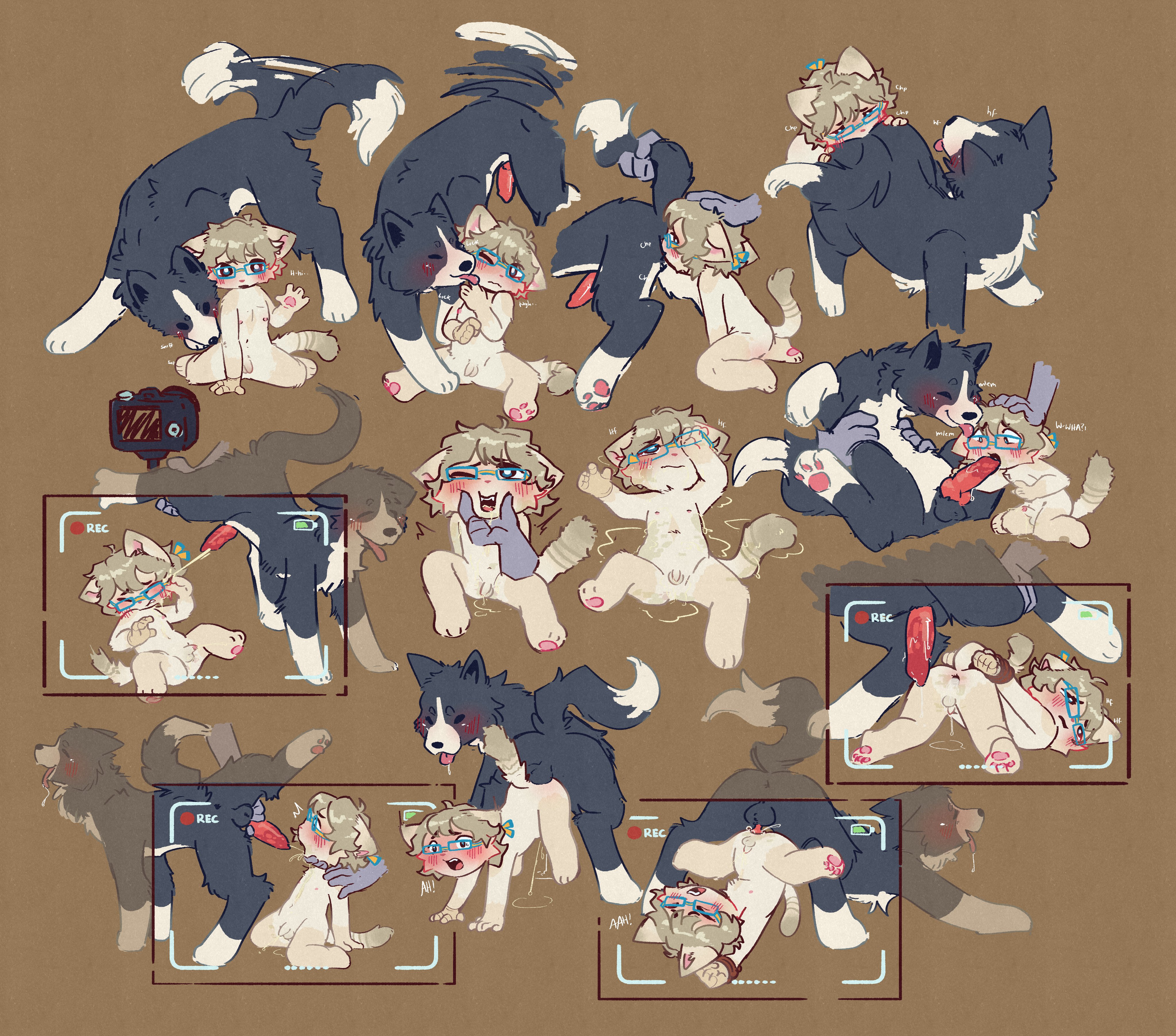 anal, anal sex, anilingus, border collie, cub, cum, cum in ass, cumming, feral, feral on anthro, knot, knotted penis, licking, male, male cub, male only, peeing, peeing in mouth, peeing on another, penis, rimming, sex, small penis, tail, viotailed, young