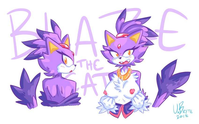 absurd_res anthro blaze_the_cat domestic_cat felid feline felis female hi_res mammal solo sonic_(series) sonic_the_hedgehog_(series) umbryte