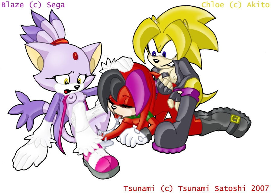 blaze_the_cat chloe_random sonic_(series) tagme tsunami_satoshi tsunami_the_echidna