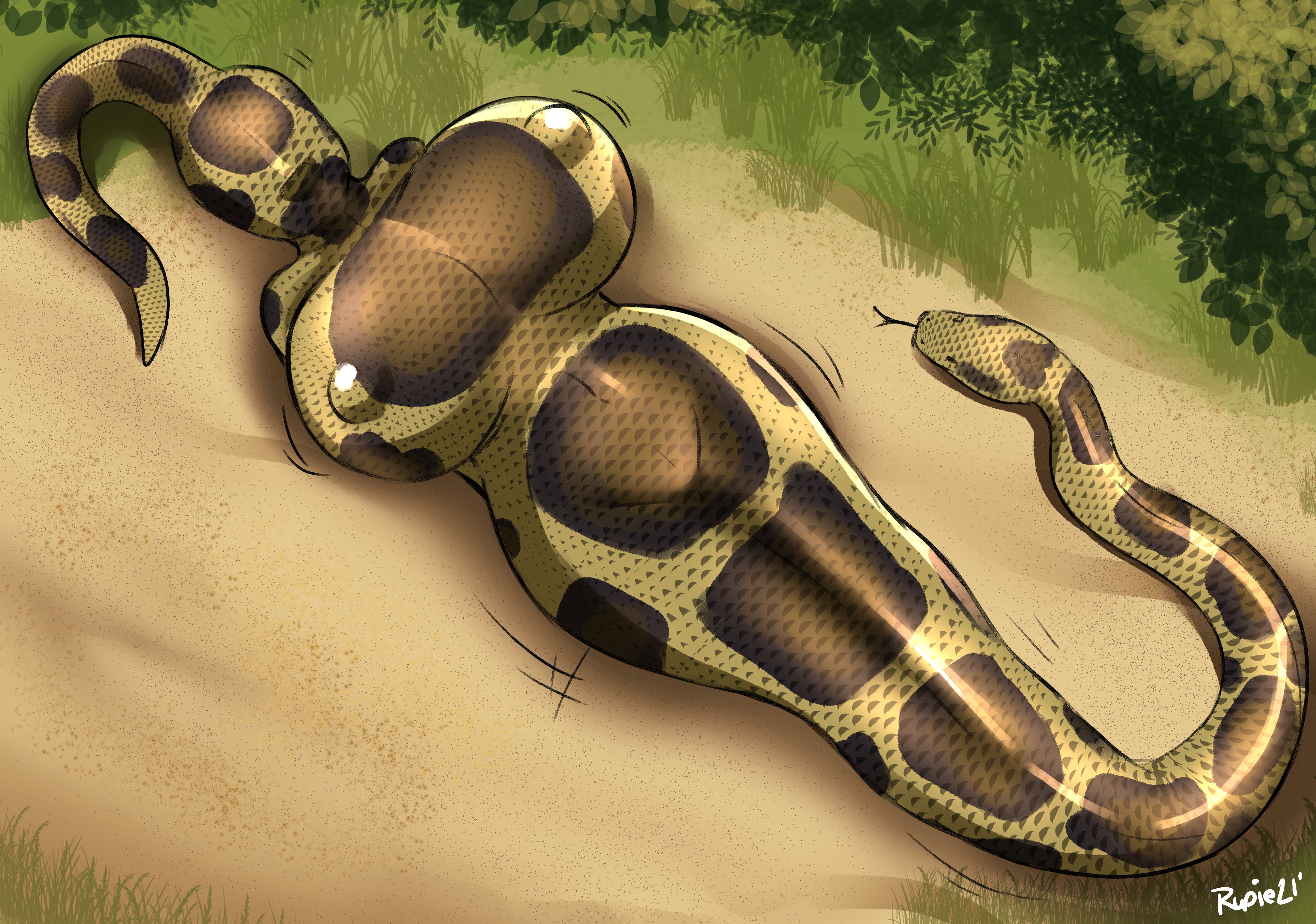 1girls, artist name, breasts, covered navel, female, feral, feral pred, huge breasts, human, human prey, inside stomach, outdoors, rupie (artist), snake, snake vore, stomach bulge, vore