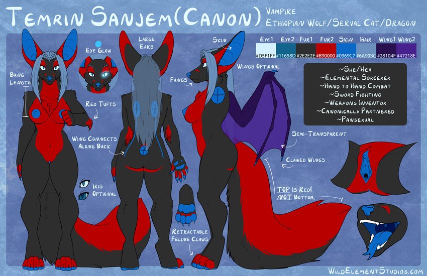 anthro artist bits breasts canid canine canis dragon english_text ethio ethiopian_wolf felid feline female genitals hybrid mammal model_sheet nipples pendragon pussy serval serval_cat shadowlack temrin temrin_sanjem text thick_thighs vampire wings