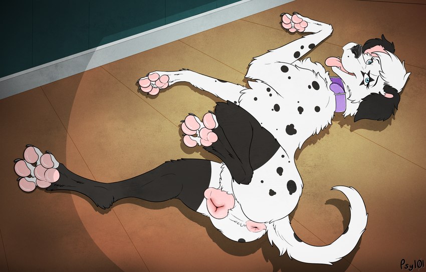 101 dalmatians, 2021, anatomically correct, anatomically correct anus, anatomically correct genitalia, anatomically correct pussy, animal genitalia, animal pussy, anus, ass, black ears, black nose, blue eyes, canid, canine, canine genitalia, canine pussy, canis, claws, collar, conditional dnp, dalmatian, digital media (artwork), disney, domestic dog, female, feral, fur, genitals, hi res, looking at viewer, looking back, lying, mammal, on side, open mouth, pawpads, paws, pink anus, pink pawpads, pink pussy, pink tongue, psy101, purple collar, pussy, raised tail, solo, spots, spotted body, spotted fur, stella (kaze~inu), tail, tongue, tongue out, wood floor