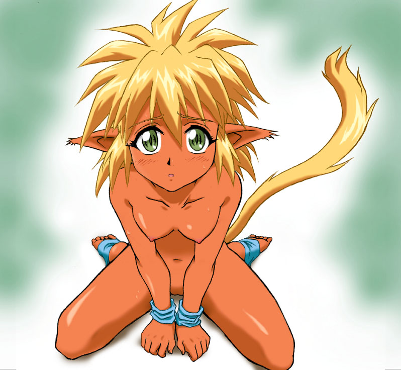 animal_ears blonde_hair blush breasts fam green_eyes kneeling navel nipples nude pussy ruin_explorers tail toeless_heeless_socks wristband