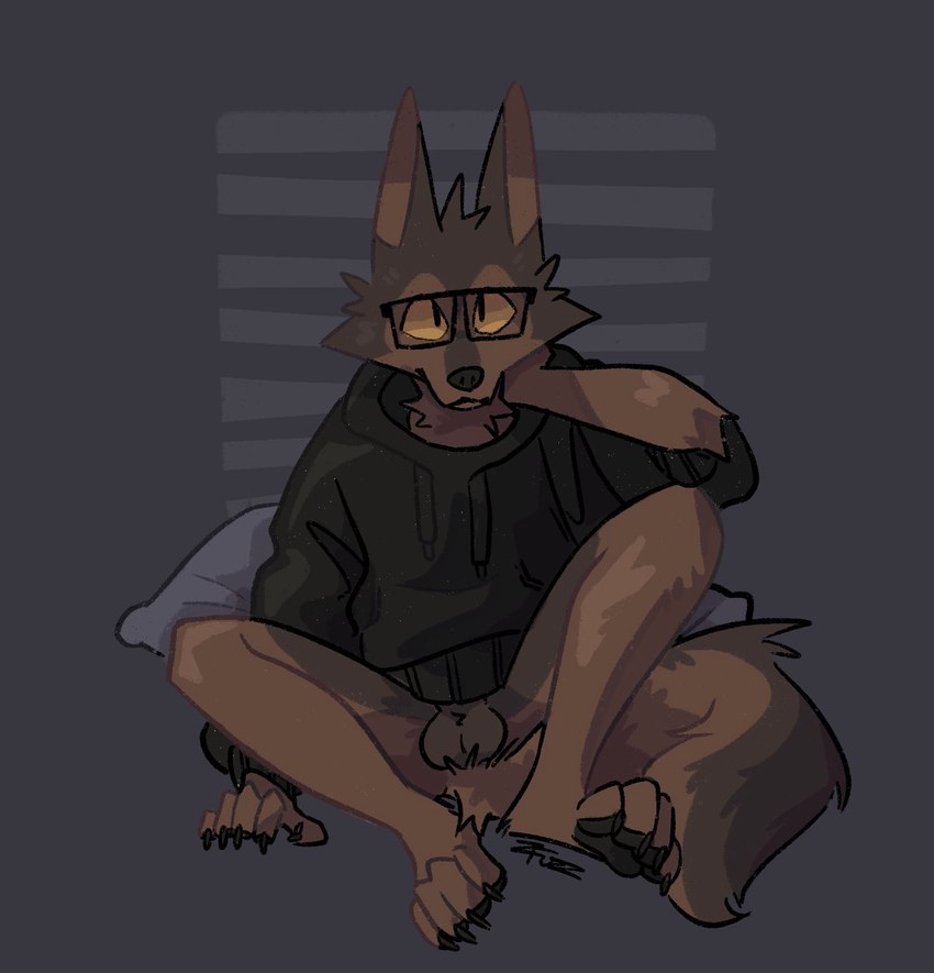 anthro balls brown_body brown_fur canid clothing eyewear fur genitals glasses hand_on_neck hi_res hoodie long_ears male mammal paws pillow solo topwear yellow_sclera zucchinifuzz