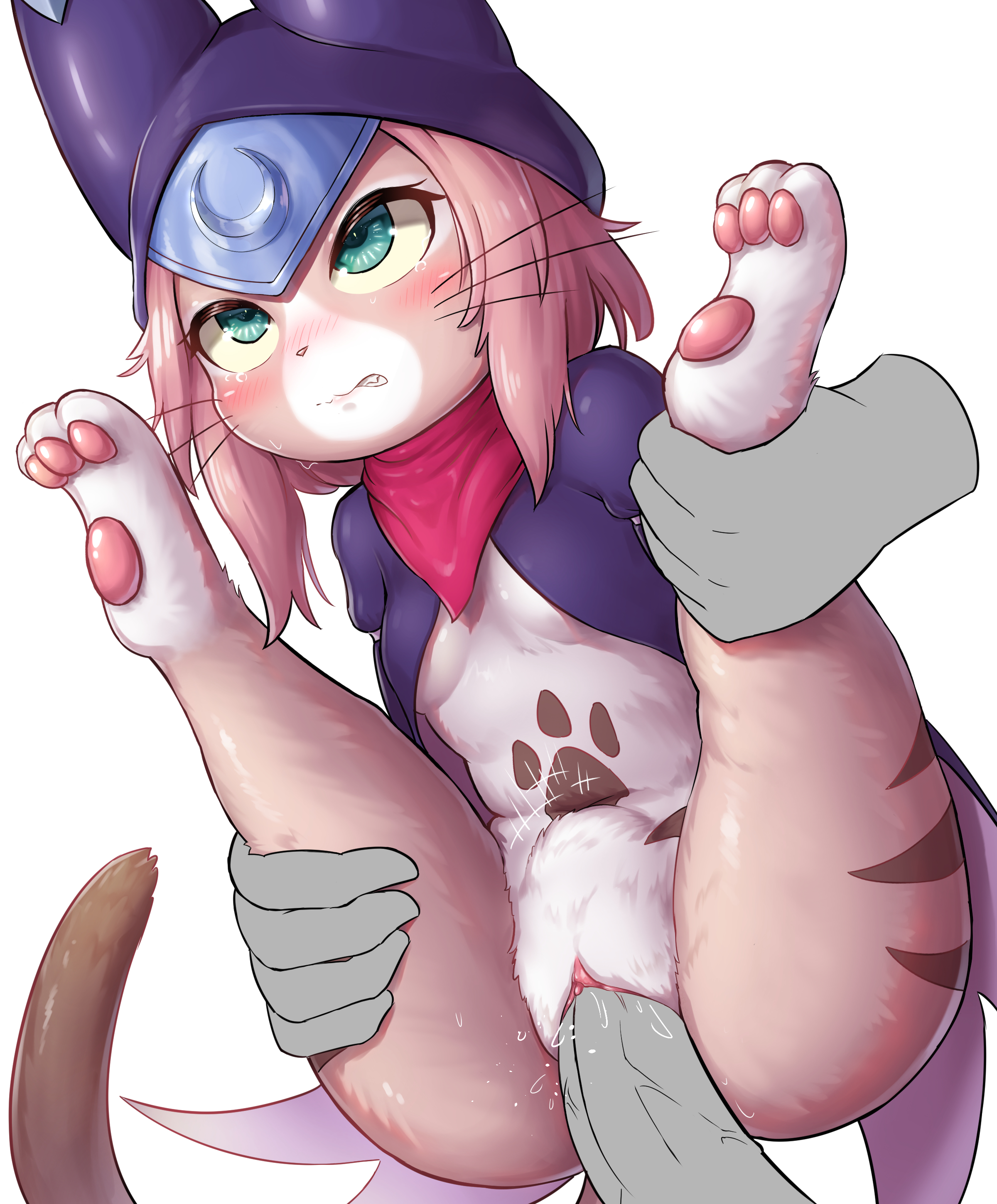 anthro, feline, felyne, female, fur, furry, healingpit, looking pleasured, male, mammal, monster hunter, monster hunter stories 2: wings of ruin, palico, pawpads, paws, penis, pussy, tsukino (monster hunter stories), vaginal penetration