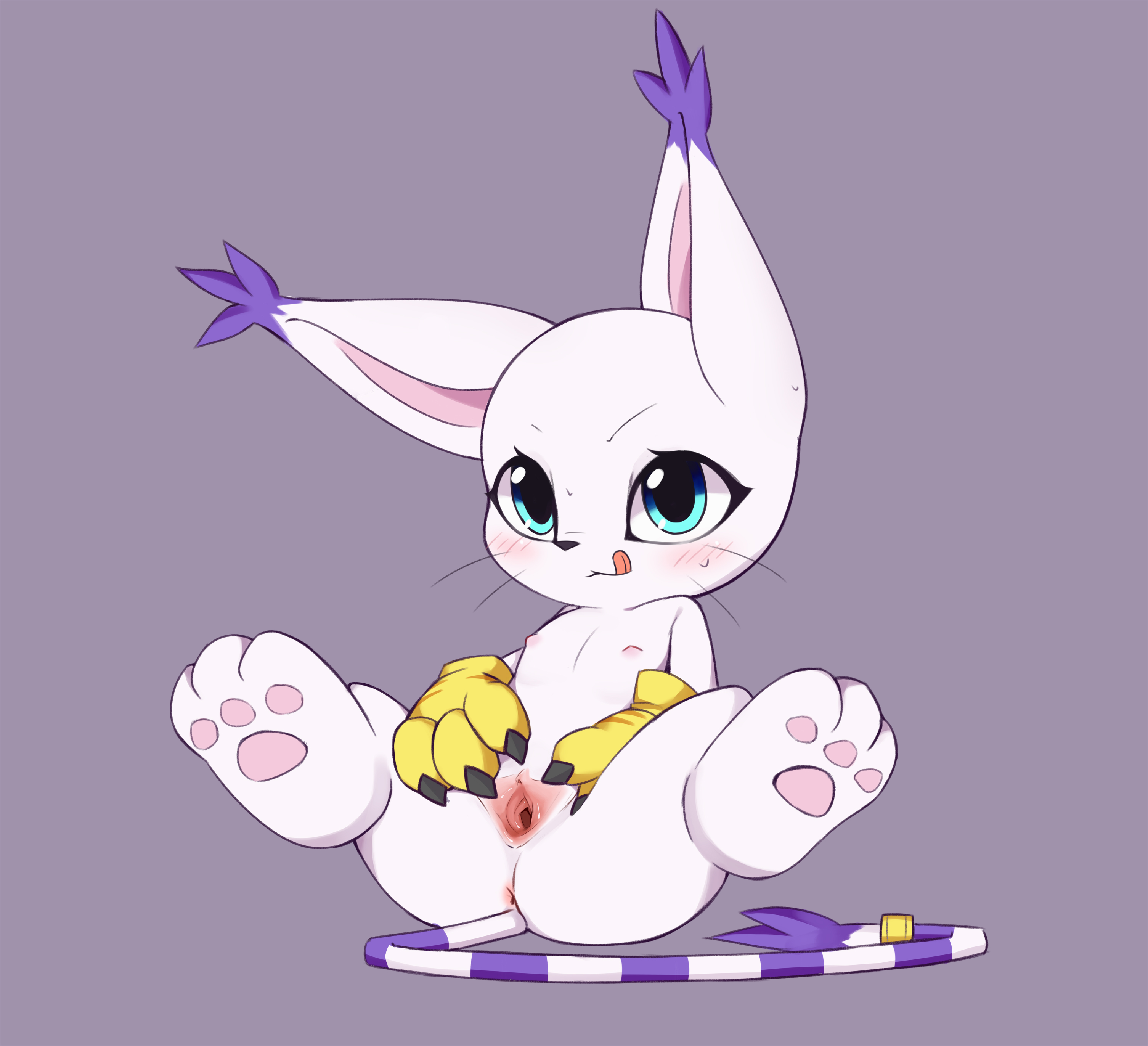 absurd res, anthro, anus, bandai namco, big eyes, big feet, blush, bodily fluids, breasts, digimon, digimon (species), feet, felid, feline, female, flong, fur, furry, furry only, gatomon, genitals, hi res, licking, licking lips, mammal, neoteny, nipples, paws, presenting, presenting pussy, pussy, semi-anthro, simple background, solo, spread pussy, spreading, sweat, tail, tongue, tongue out