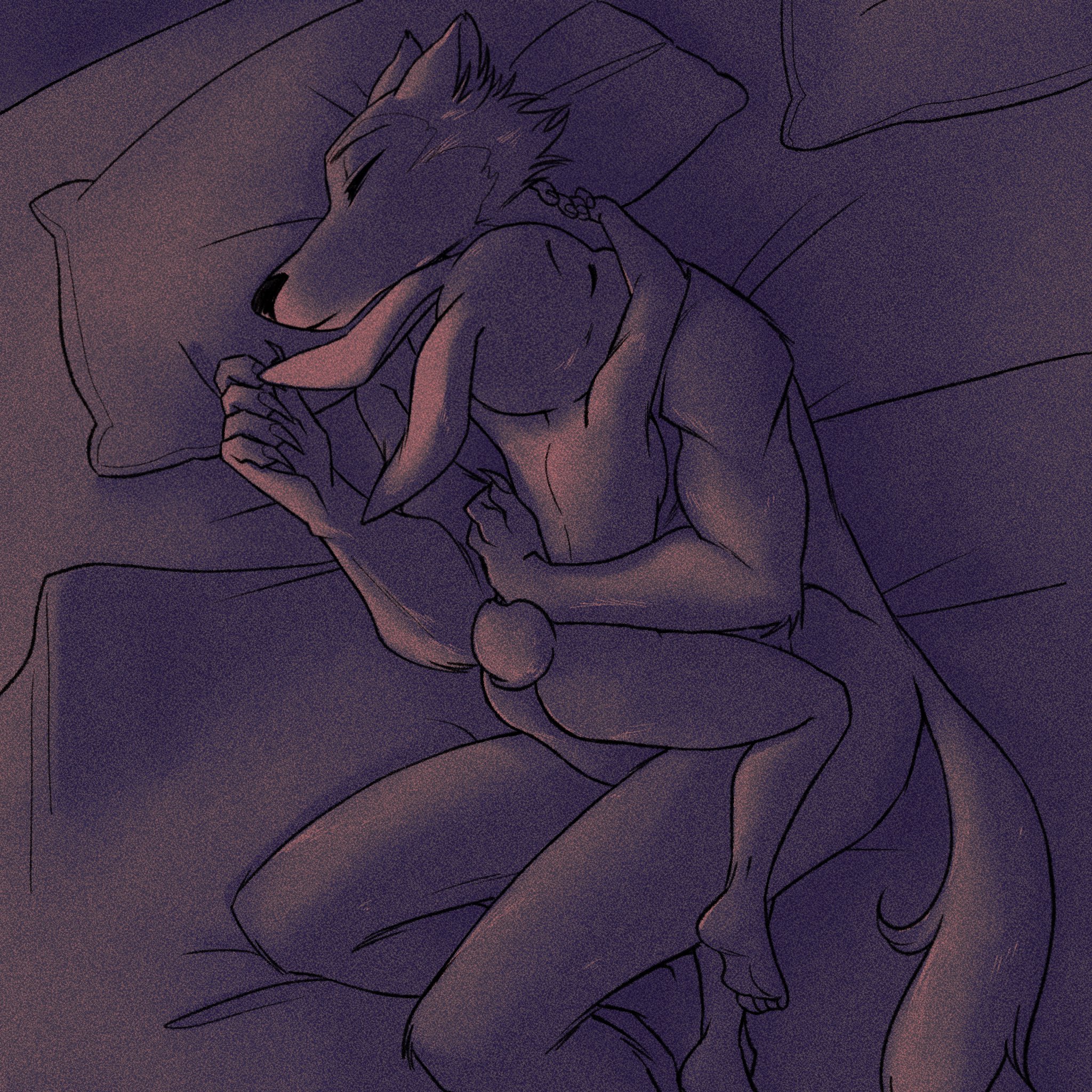 1:1, 2021, anthro, anthro on anthro, ass, beastars, bird's-eye view, breasts, canid, canine, canis, cuddling, duo, english text, female, haru (beastars), hi res, high-angle view, interspecies, lagomorph, larger male, legoshi (beastars), leporid, lying, male, male/female, mammal, nude, on side, peteko, predator/prey, rabbit, romantic, romantic couple, side boob, size difference, sleeping, smaller female, text, wolf
