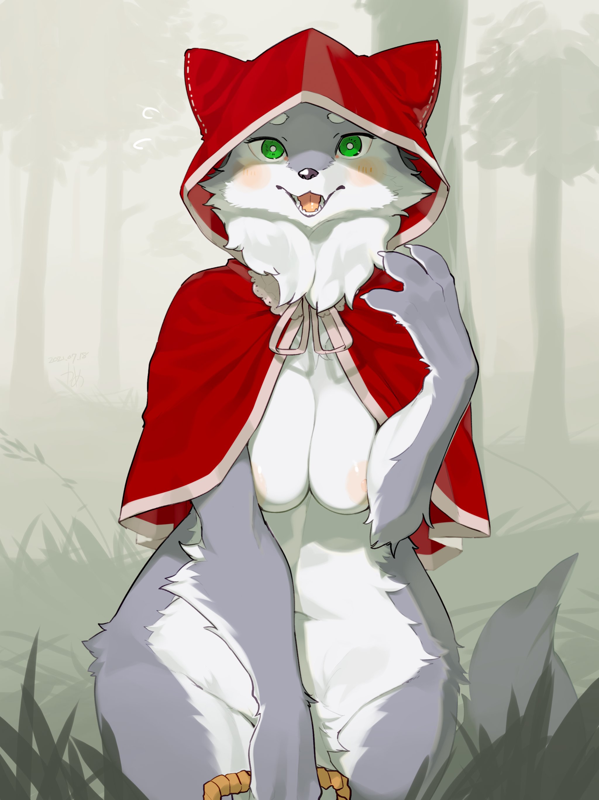 1girls, anthro, areolae, blush, breasts, canine, casual, cloak, clothing, countershading, female, female only, forest, fur, furry, furry only, green eyes, grey fur, kame 3, little red riding hood, looking at viewer, nipples, nude, nude female, open mouth, outerwear, paws, red hood, red riding hood, solo, solo female, very high resolution, white fur, wolf, wolf ears, wolf tail
