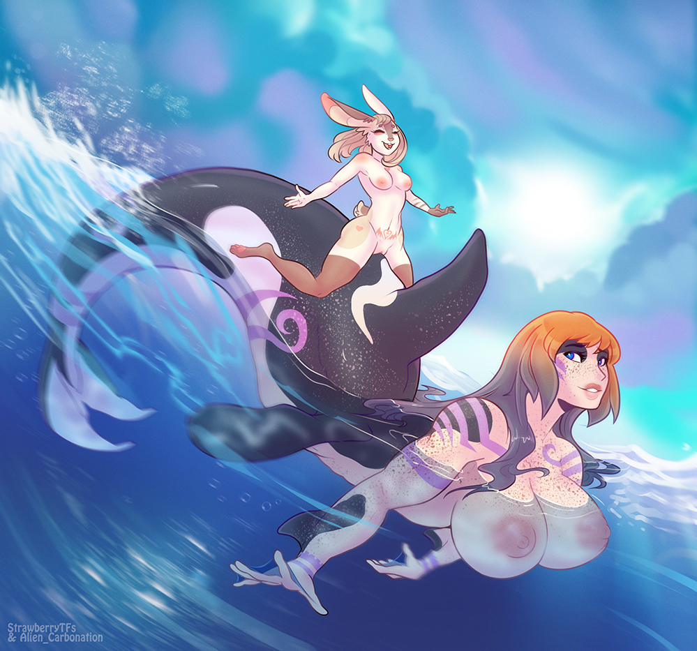 anthro big_breasts breasts cetacean delphinoid duo female genitals hair huge_breasts lagomorph leporid long_hair looking_back mammal marine merfolk oceanic_dolphin orca pussy rabbit riding sea split_form strawberrytfs taur toothed_whale water wave