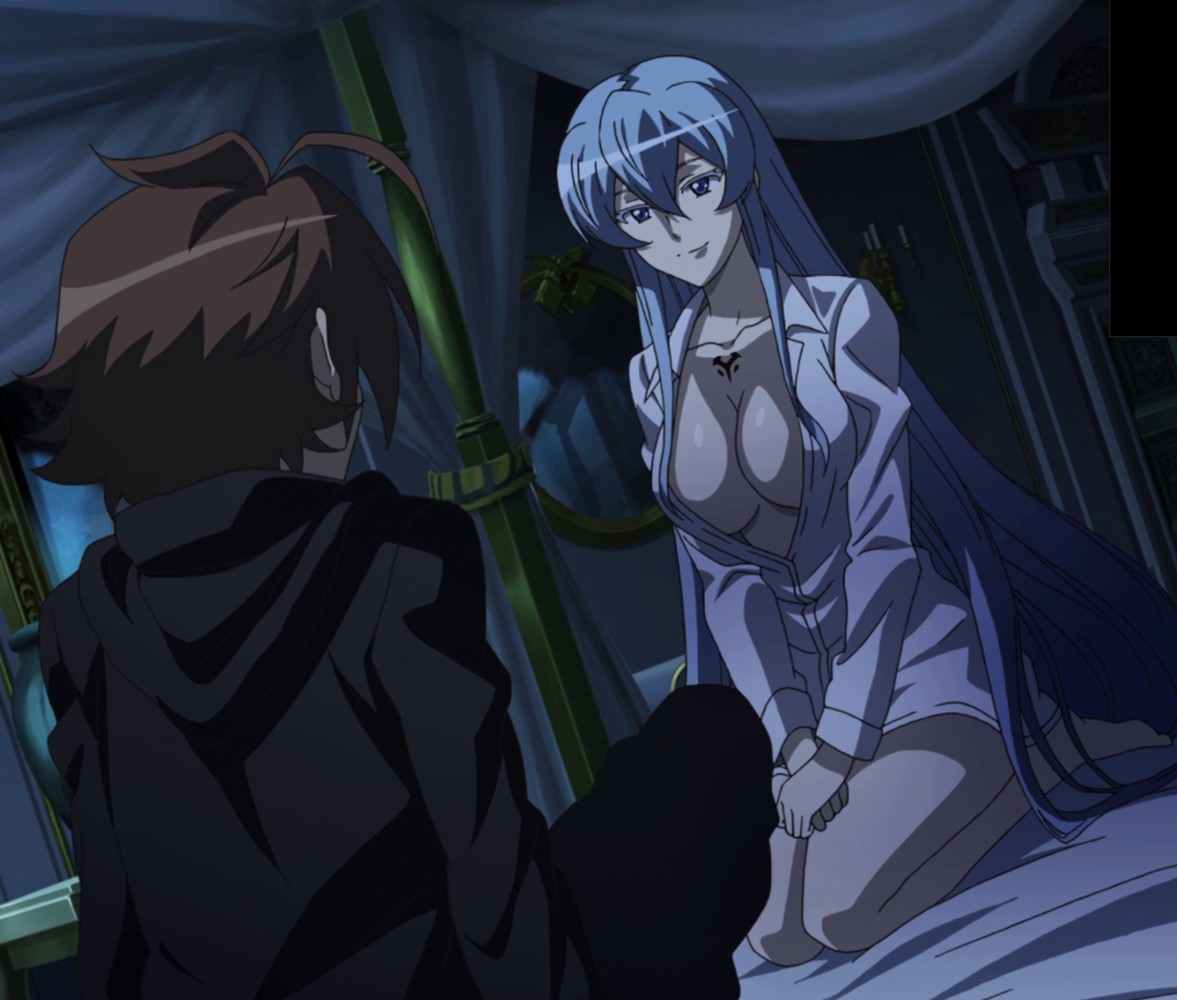 1boy, 1girls, akame ga kill!, bed, bedroom, edit, enemies, enemies with benefits, esdeath (akame ga kill!), female, light skin, light-skinned female, male, pale skin, pale-skinned female, screenshot, screenshot edit, solo focus, tagme, tatsumi (akame ga kill!)