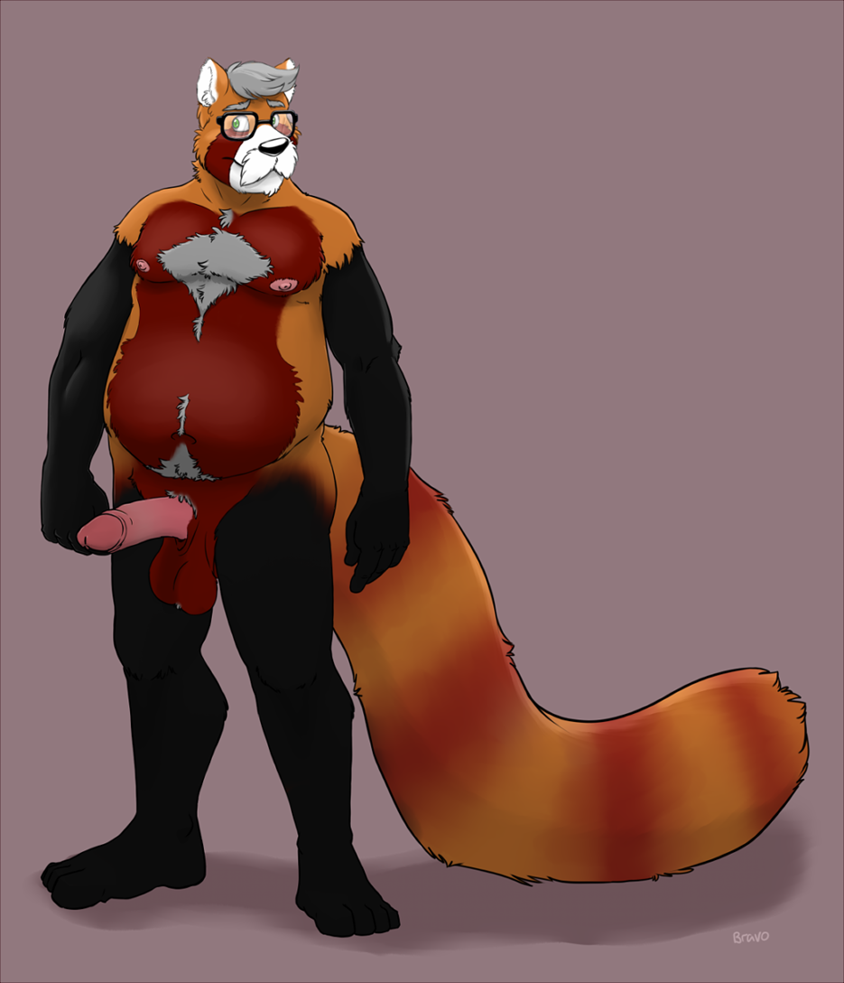 2016 ailurid anthro balls bravo elder erection eyewear facial_hair fur genitals glasses grey_body grey_fur male mammal mature_male moustache orange_body orange_fur overweight overweight_male penis red_panda simple_background solo