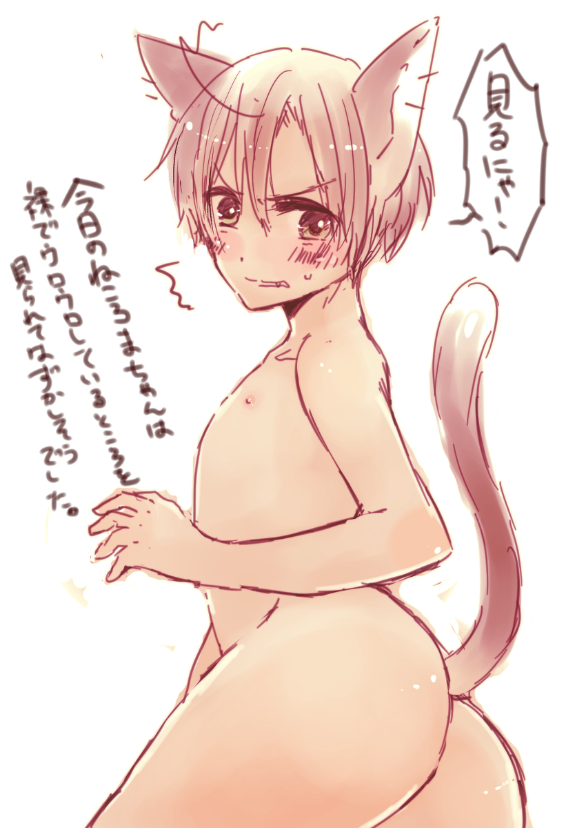 axis_powers_hetalia cat_ears cat_tail catboy lovino_vargas male_only romano_(hetalia) solo tagme yaoi