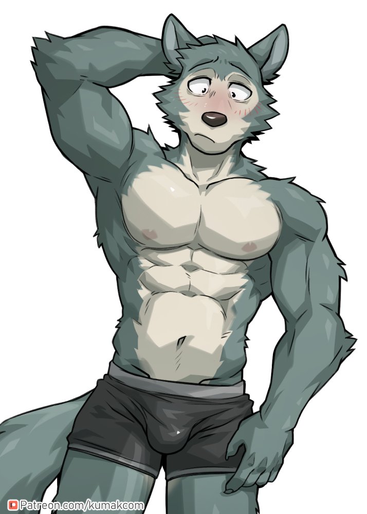 1boy 5_fingers abs anthro beastars belly belly_button biceps black_boxers black_eyes black_nose black_underwear blush bottomwear boxer_briefs boxers boxers_(clothing) boxers_only bulge canid canine canis claws cute ears_up eyebrows fur furry grey_fur grey_tail kumak71395 legoshi_(beastars) looking_down male male_focus male_only manly multicolored_fur muscle muscles muscular muscular_male nervous nipples pecs penis_under_clothes pink_nipples shiny_clothes shirtless six_pack solo stripes thighs topless two_tone_underwear underwear underwear_only wolf wolf_ears