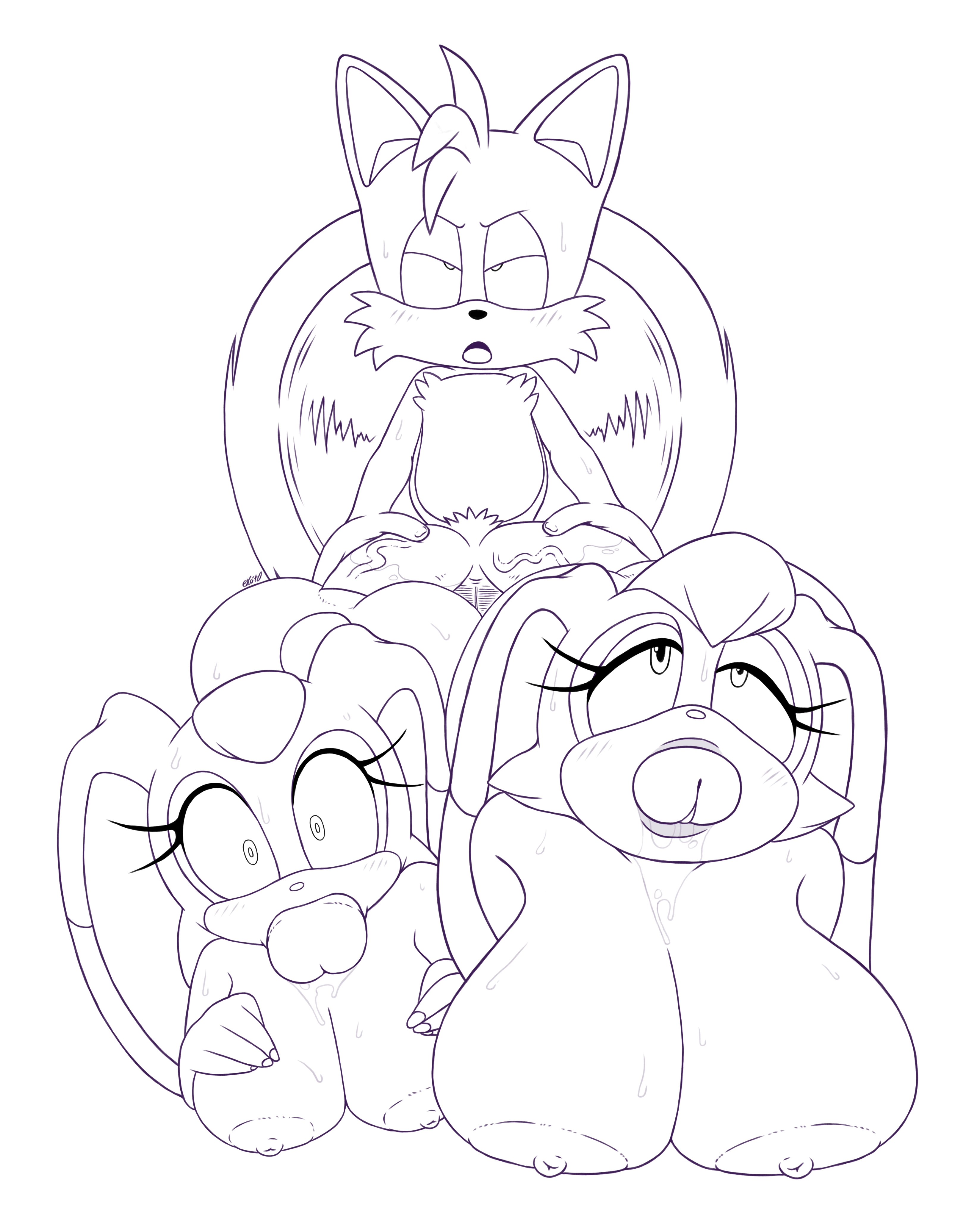 1boy, 2girls, all the way through, anthro, bilateral penetration, breasts, cream the rabbit, diphallia, diphallism, excito, female, huge breasts, male, multi genitalia, multi penis, penis, sex, sonic (series), tails, tails the fox, vanilla the rabbit