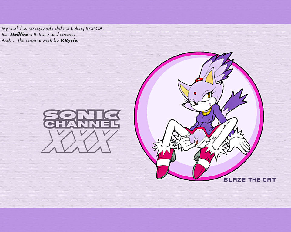 anthro blaze_the_cat cat feline female female_only fur mammal solo sonic_(series) sonic_channel tagme