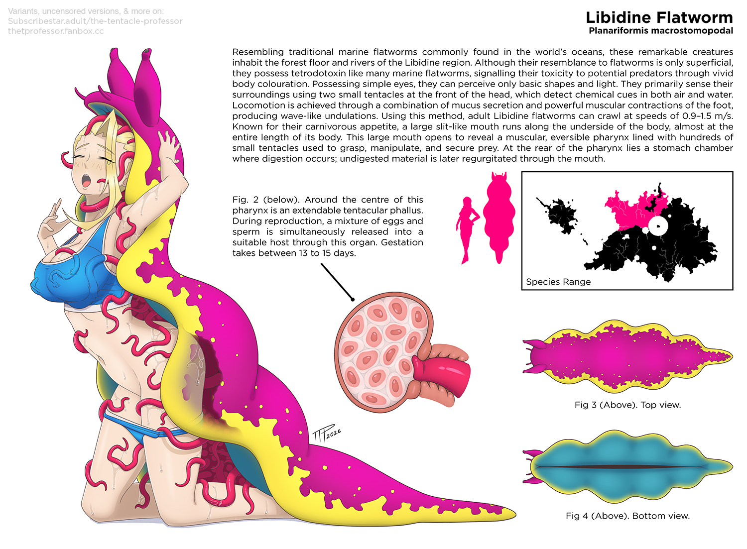 blonde hair, cum in pussy, cum in uterus, dr. elizabeth (ttp), egg implantation, egg laying, eggs, flatworm, impregnation, interspecies, interspecies impregnation, looking pleasured, lore, monster, monster on female, oviposition, pleasure face, slug, sports bra, sportswear, tentacle, tentacle sex, tentacles under clothes, the tentacle professor, vaginal egg implantation, vaginal oviposition, vaginal penetration, worm, x-ray, xray view, zoophilia