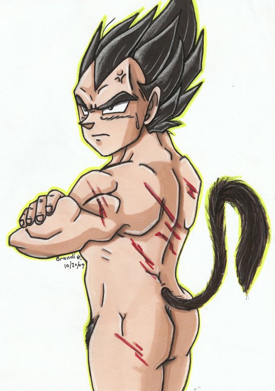 2009 cowcat44 dragon_ball dragon_ball_z male male_only nude solo straight_hair tagme vegeta