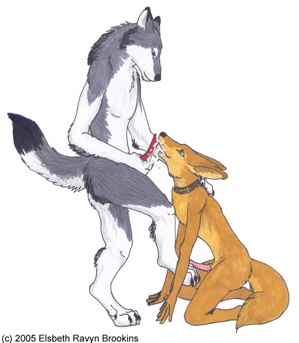 canine canines cum fennec fox furry gay male no_humans oral ravyn_(artist) wolf