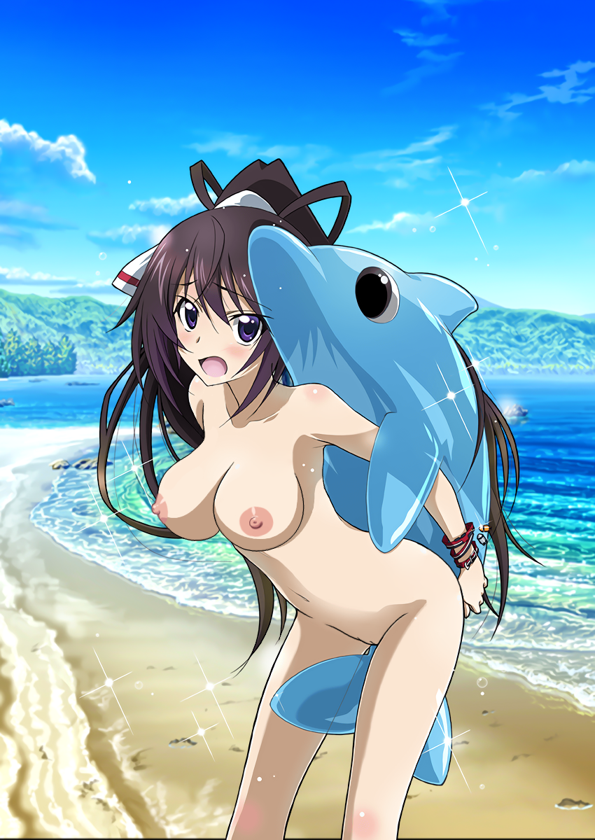 1girls dolphin female female_only high_resolution infinite_stratos long_hair looking_at_viewer nipples nude_filter pool_toy shinonono_houki tagme third-party_edit toy uncensored