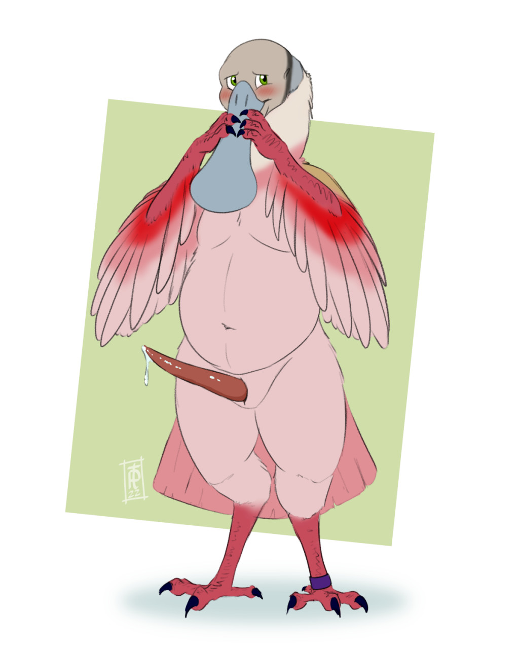 anthro avian avian_penis banding bird bodily_fluids embarrassed genital_fluids hi_res male palehorntea pelecaniform precum slightly_chubby solo spoonbill threskiornithid tolbiac_(longbeaks)