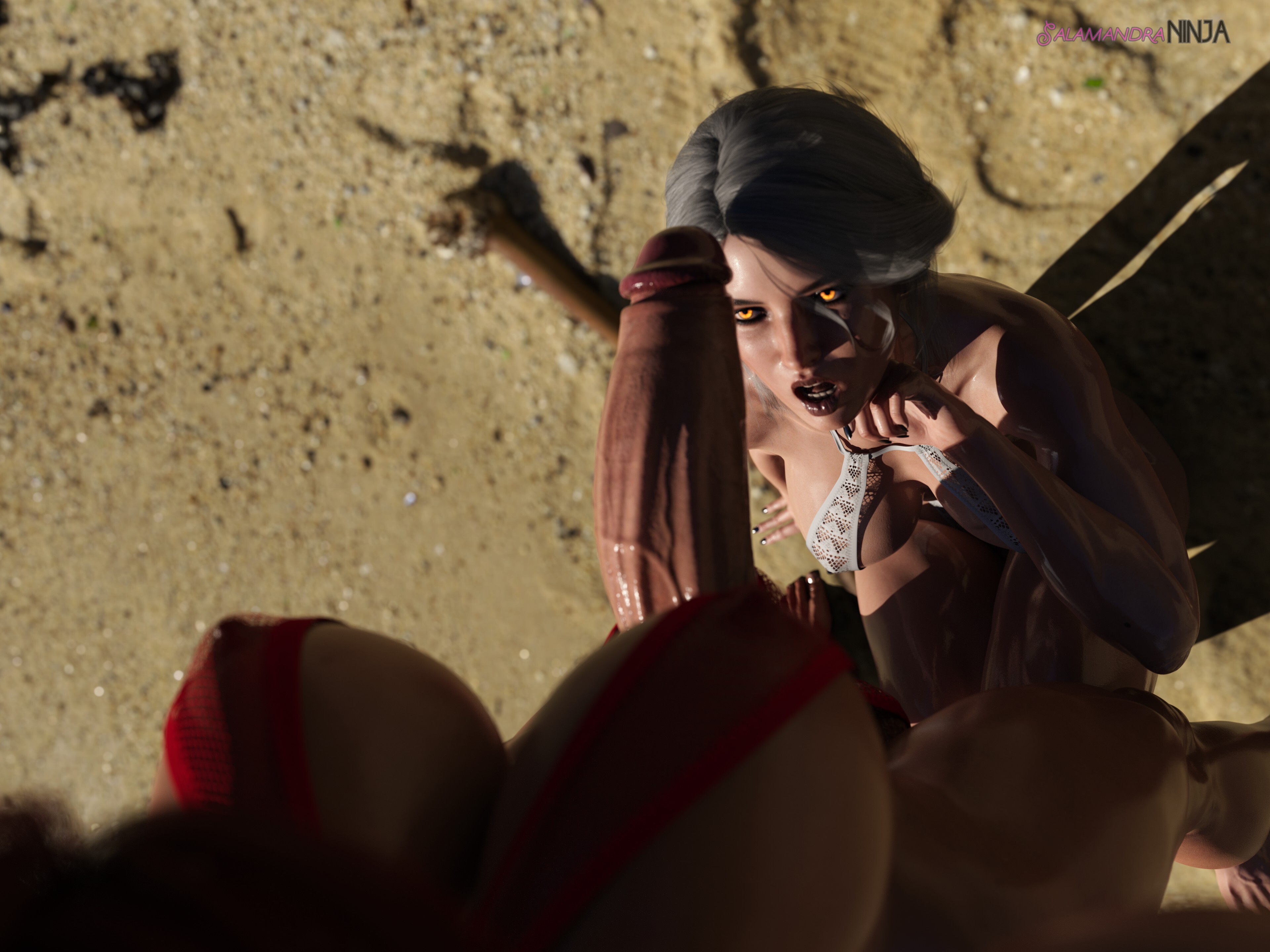 3d, abs, beach, breasts, cd projekt red, ciri, futa pov, futanari, imminent oral, imminent sex, intersex, large breasts, oral, penis, penis awe, salamandraninja, the witcher (series), the witcher 3: wild hunt, triss merigold, white hair