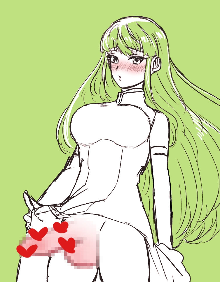 1futa balls blush bottomless breasts censored clothed clothing fire_emblem fire_emblem_echoes:_shadows_of_valentia futa_only futanari green_background green_hair hamham_121 human large_breasts looking_at_viewer nintendo palla_(fire_emblem) penis sketch solo standing very_long_hair