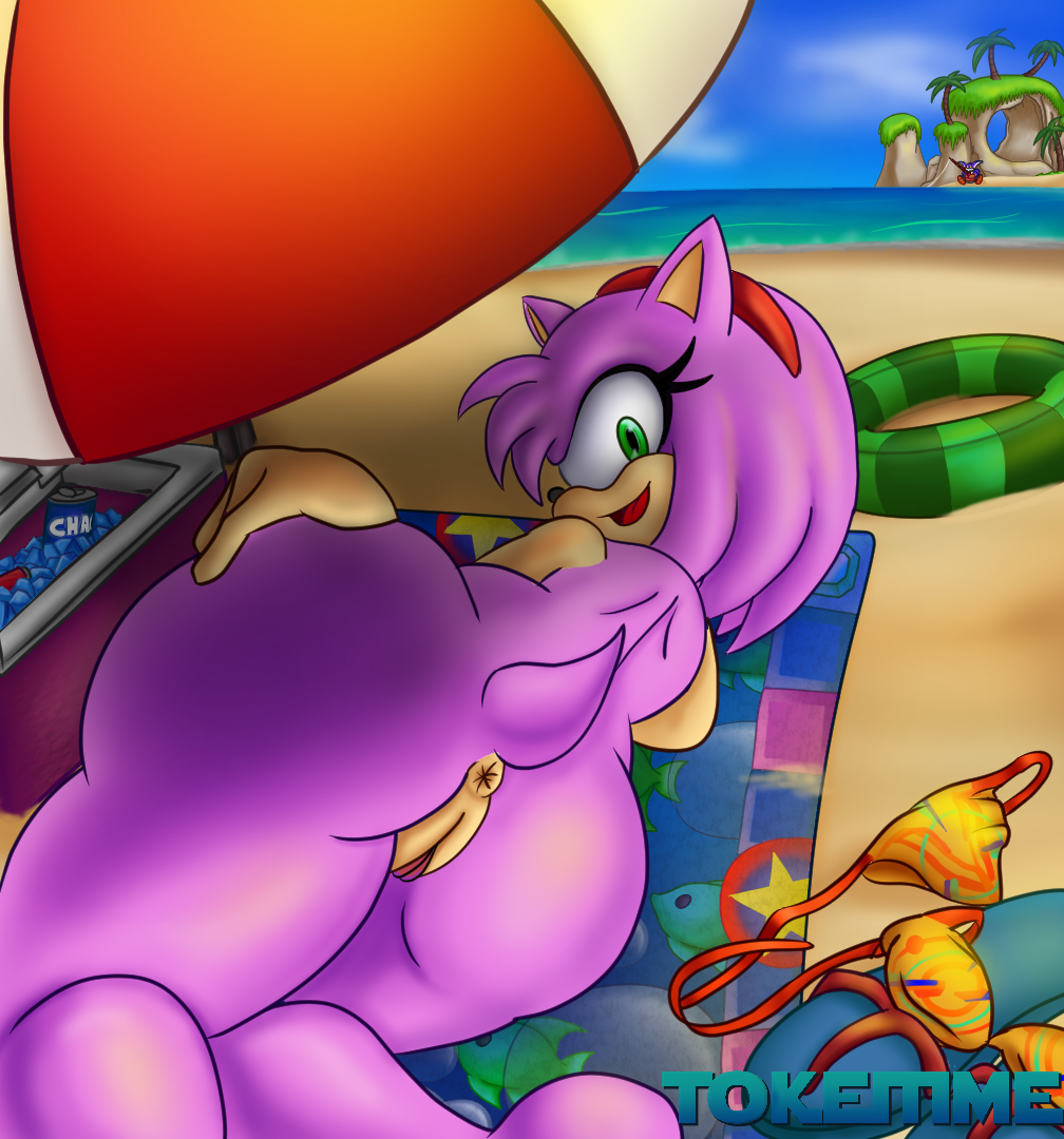 amy_rose ass beach behind big_the_cat bikini naked pussy sonic_(series) tokeitime